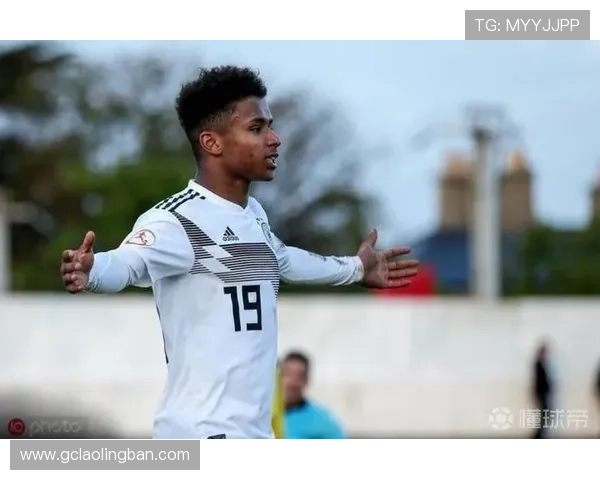 阿德耶米因非法持有武器被罚款45万欧元引发广泛关注